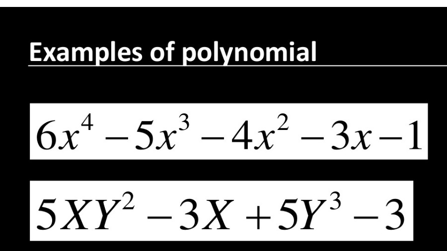Presentation On Polynomials - PowerPoint Slides - MyPrivateTutor UAE