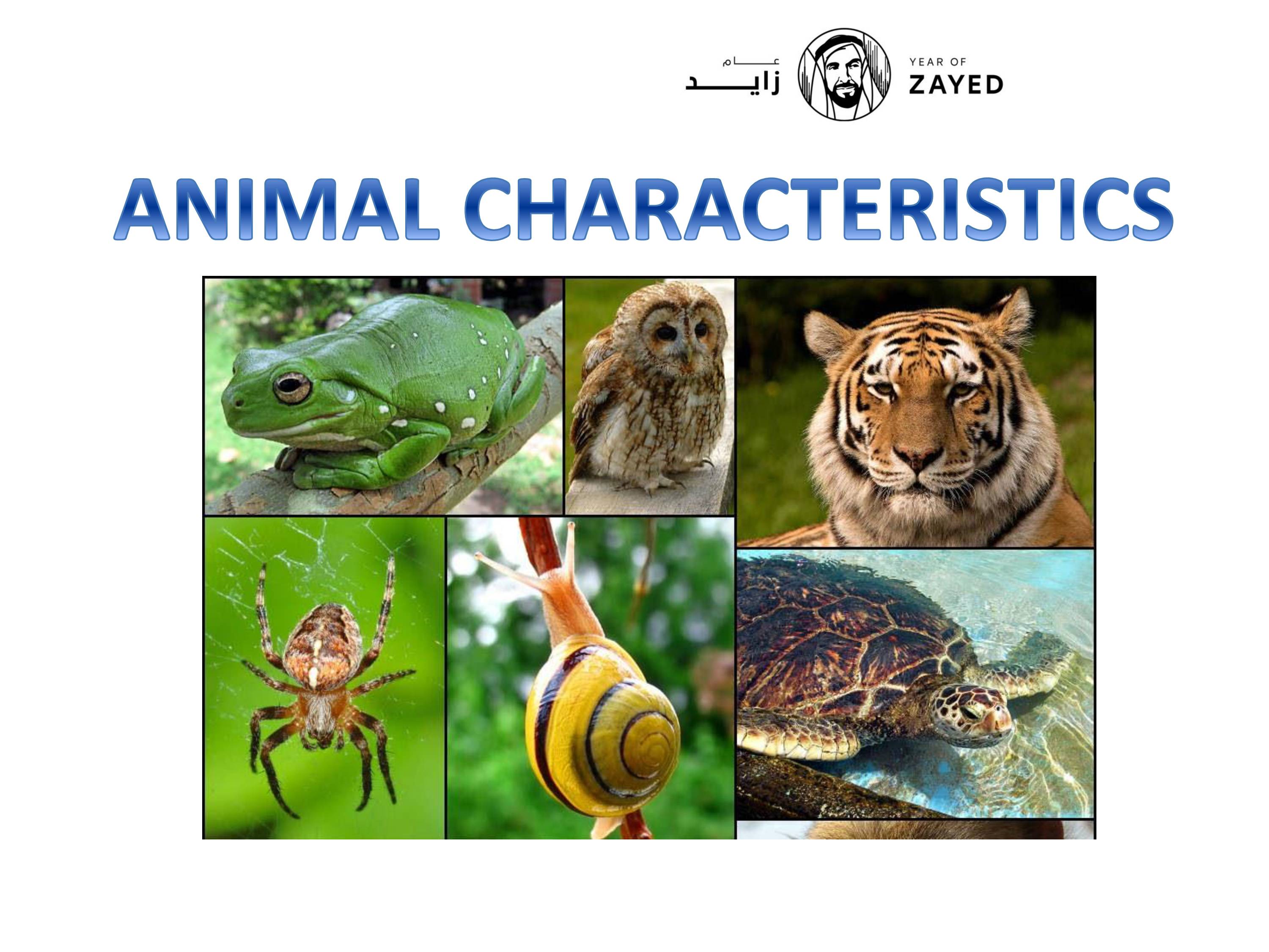 Learn Animal Characteristics