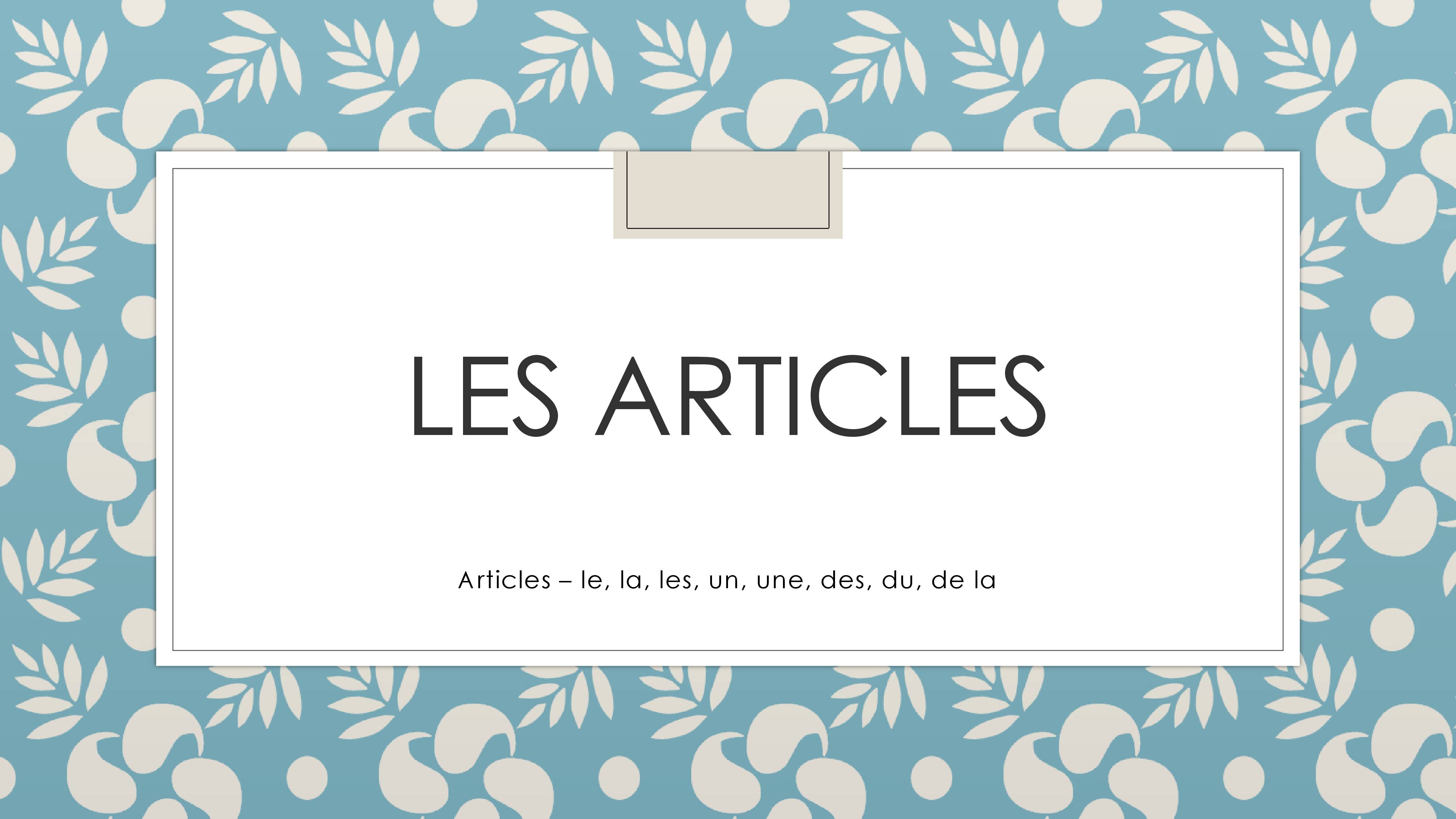 Presentation on Les articles