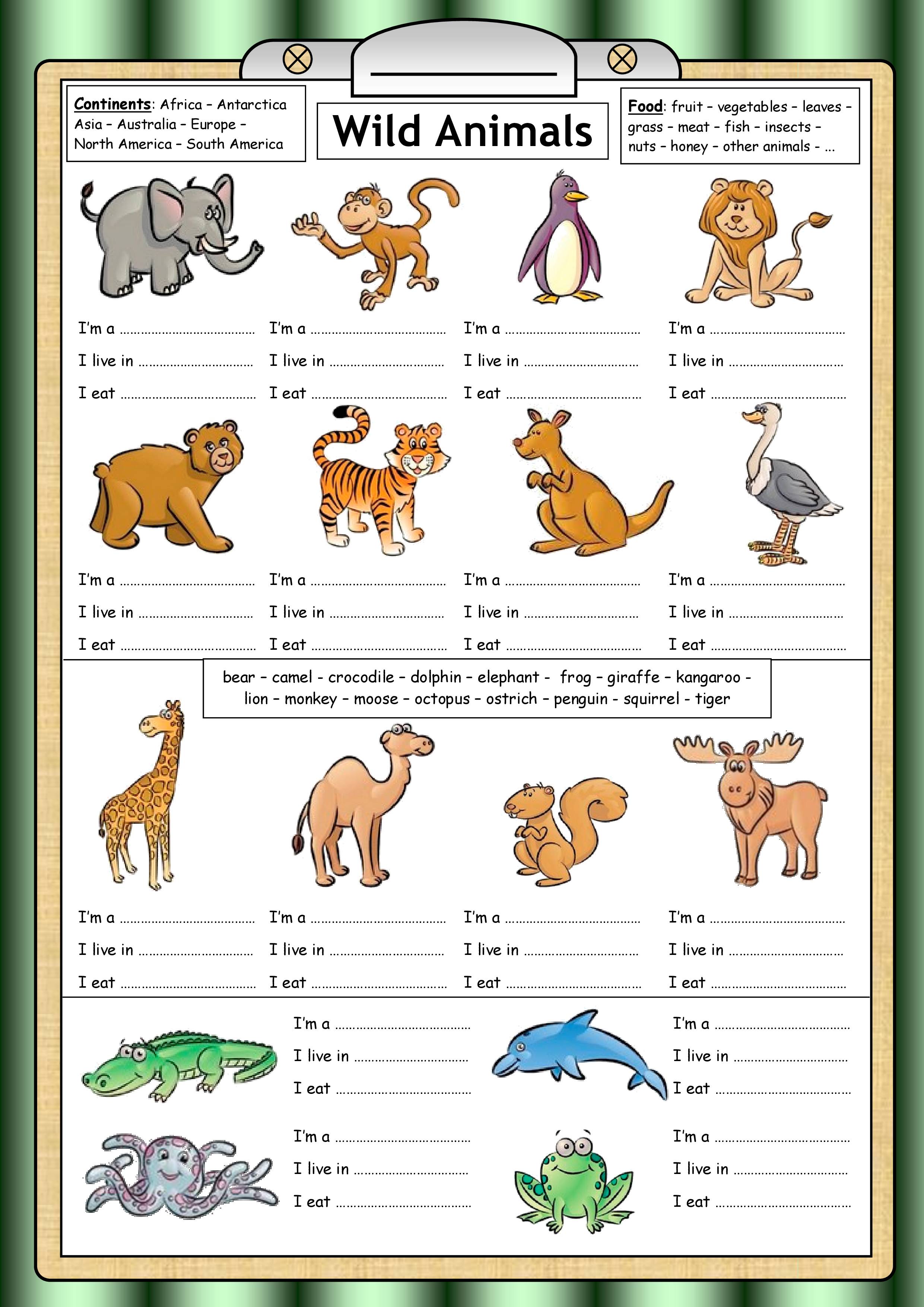 Learn About Wild Animals - Notes